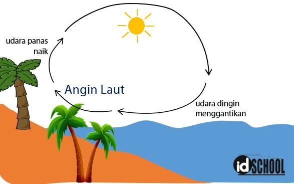 Essence dari Angin Malam yang Disaring dan Dibudidayakan