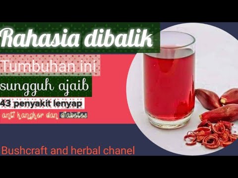 Serum "Akar Mimpi": Ketika Resep Rahasia Leluhur Hadir dalam Mimpi dan Menjelma Jadi Keajaiban Kulit